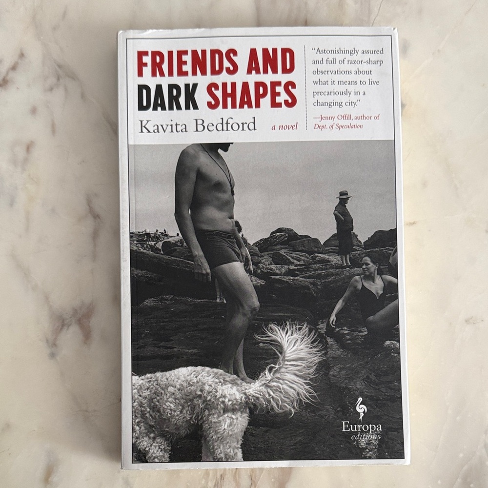 🌈4/$20🌈 Friends and Dark Shapes by Kavita Bedford softcover book
